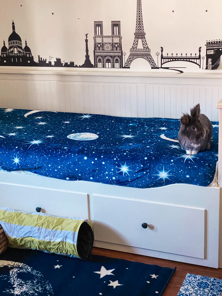 Make-up room: decoriamo insieme il mio ufficio con luna e stelle!