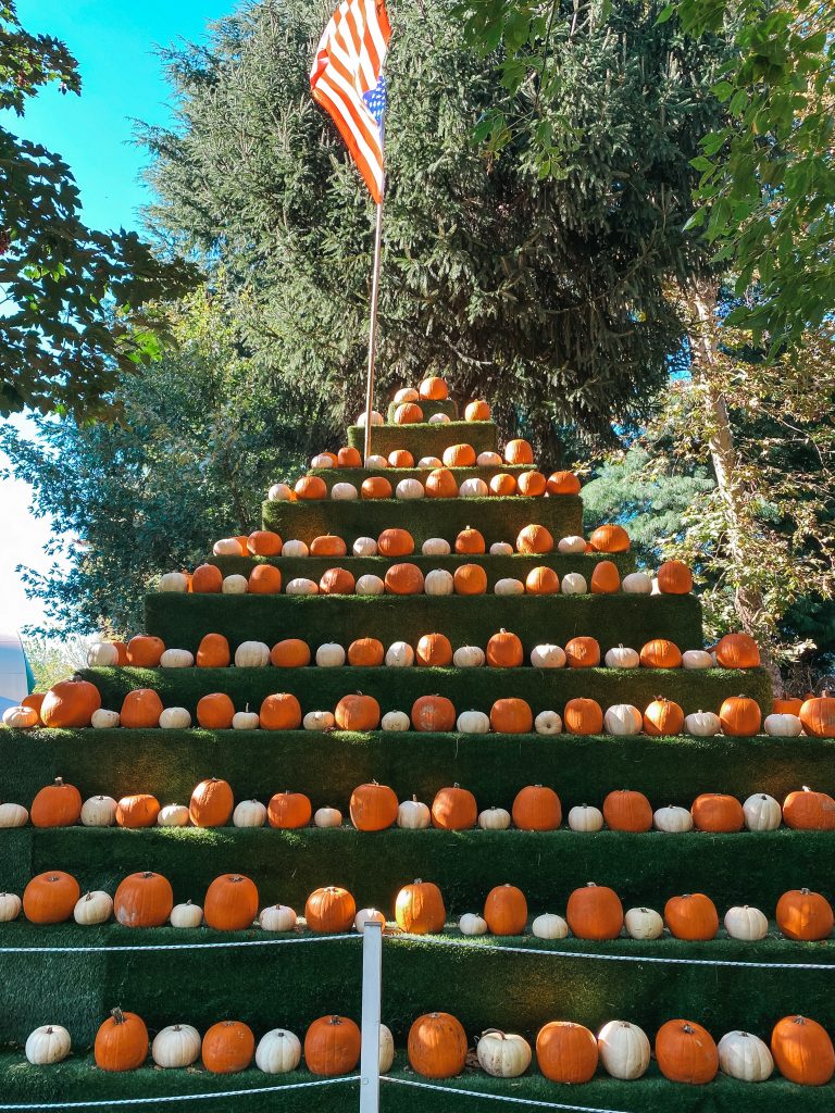 Villaggio delle Zucche: da Puravida Farm Pavia