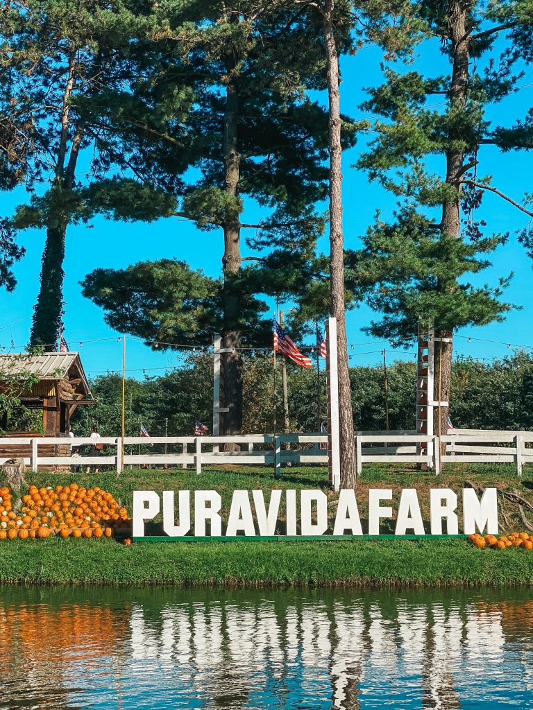 Villaggio delle Zucche: da Puravida Farm Pavia