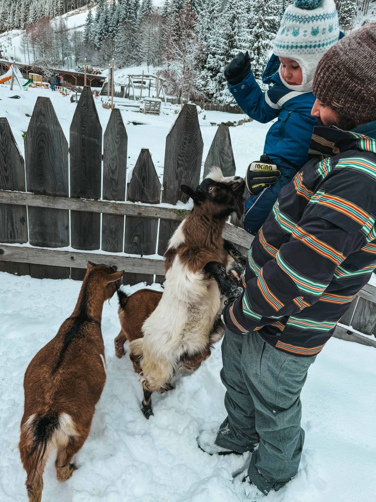Alphotel Tyrol: wellness e divertimento per tutta la famiglia