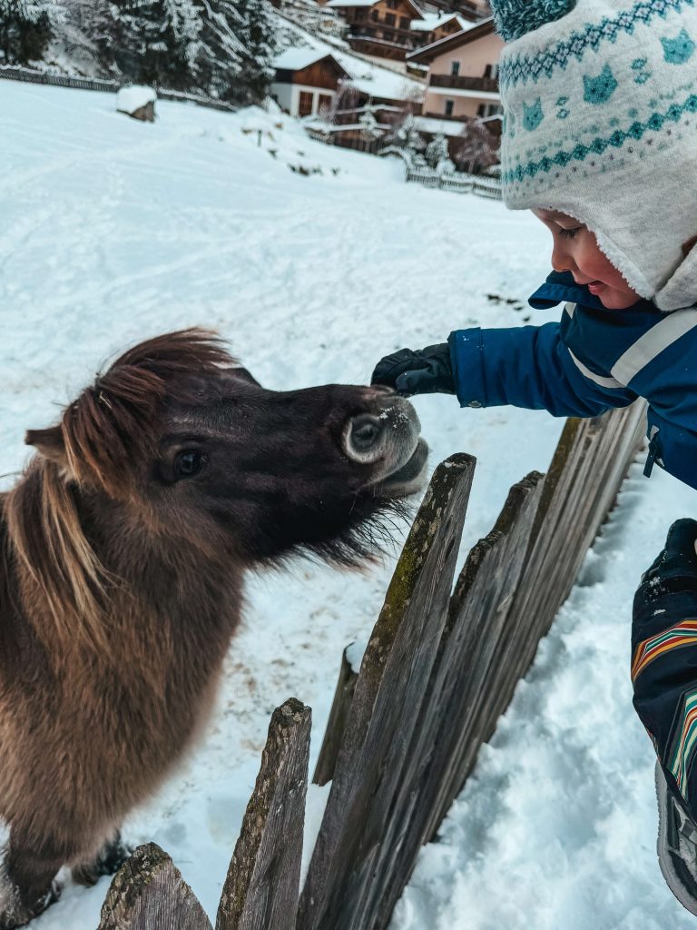 Alphotel Tyrol: wellness e divertimento per tutta la famiglia